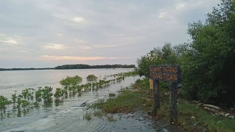 Pantai Kartika Jaya