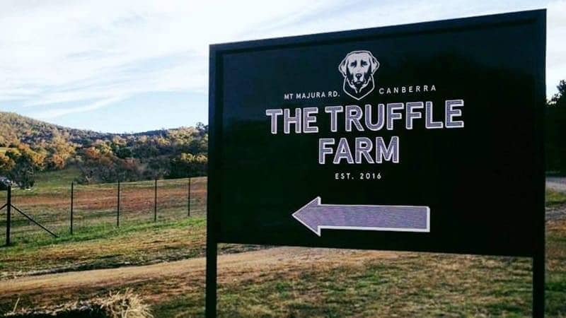 Truffle Farm