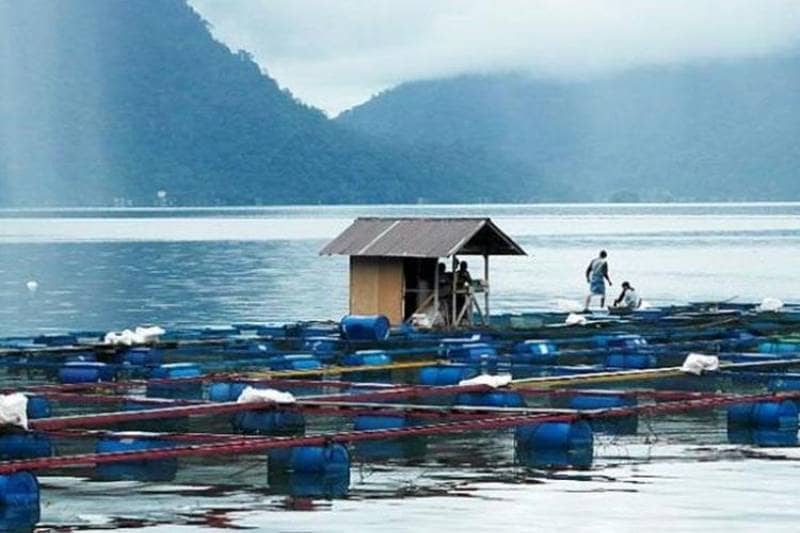 danau maninjau