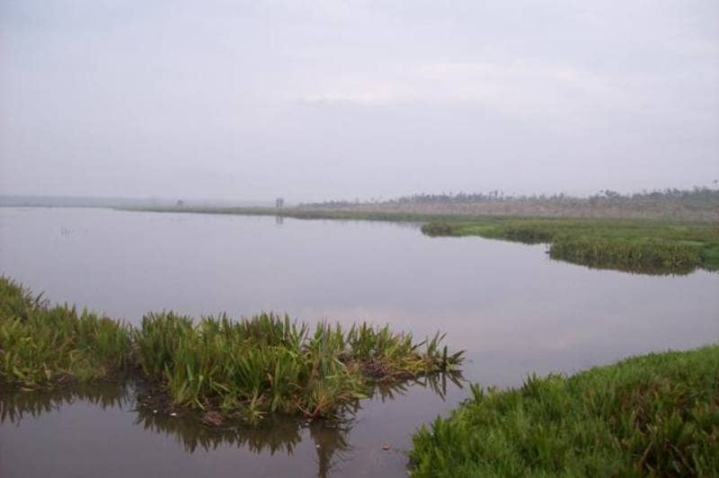 danau napangga