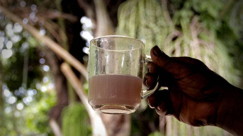 Minuman Khas Toraja