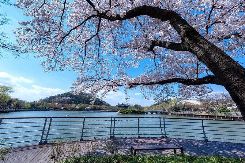 Daegu Duryu Park