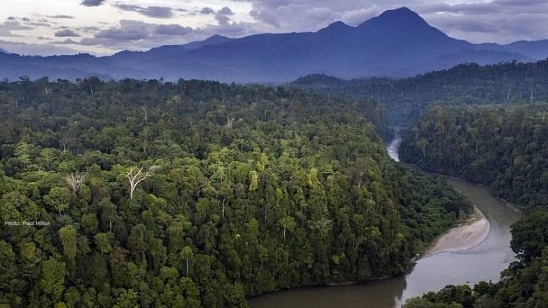 Taman Nasional Gunung Leuser