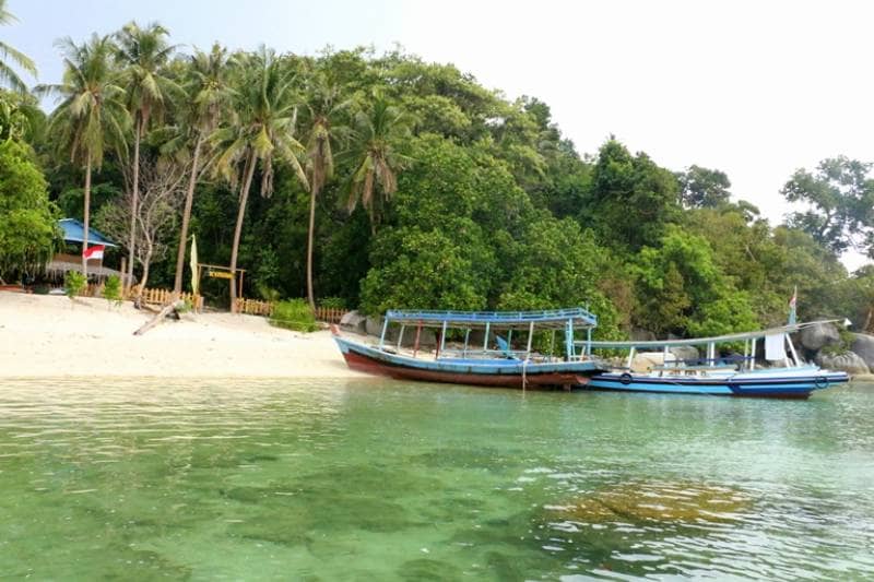 pulau kepayang