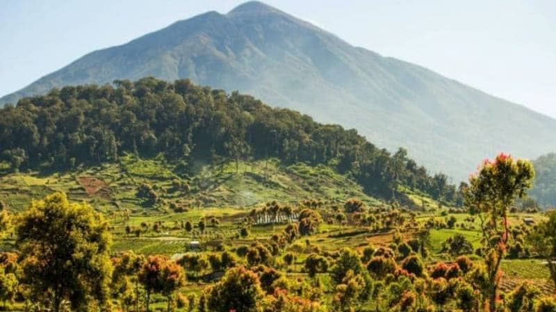 Taman Nasional Kerinci Seblat