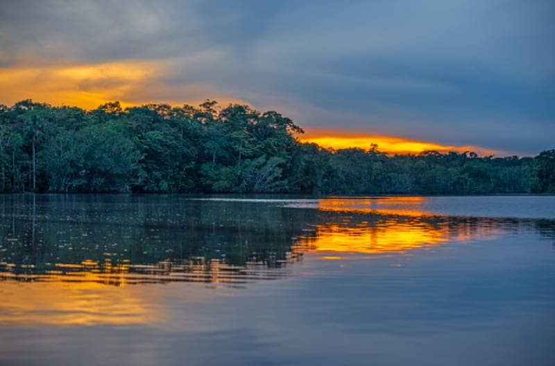 taman nasional yasuni