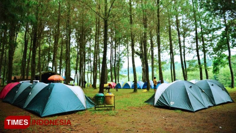 wisata pinus songgon