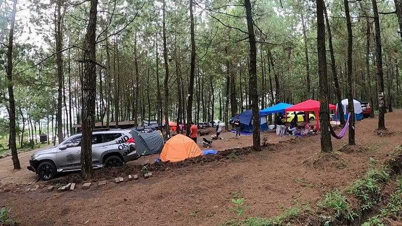 Campervan Park Hutan Pinus