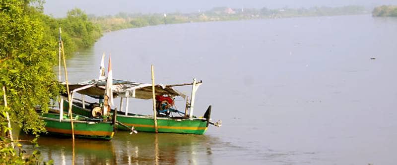 Pantai Tlocor