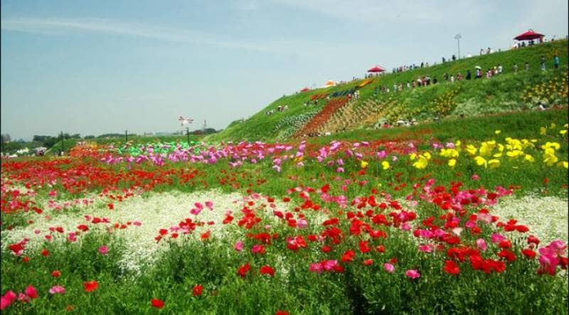 Wisata Gunung di Korea