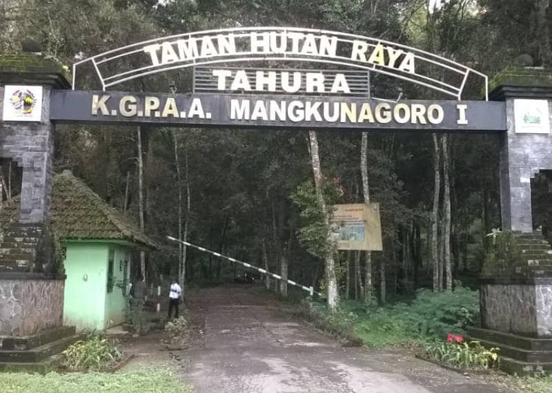 Taman Hutan Raya KGPAA Mangkunagaro I