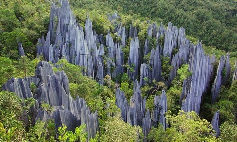 Taman Nasional Gunung Mulu