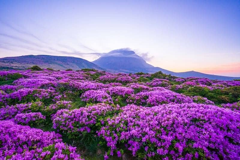 Taman Nasional Pulau Jeju