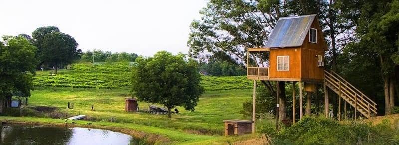 Treehouse Vineyards, North Carolina