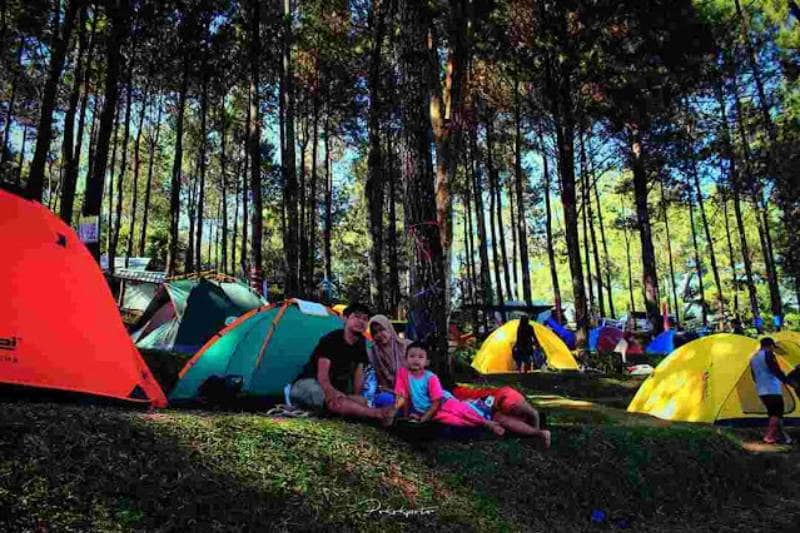 Lokasi Camping di Trawas