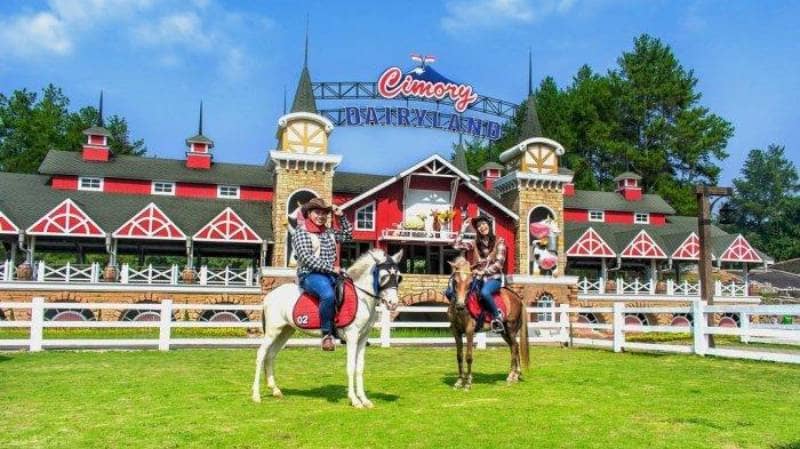 Cimory Dairyland