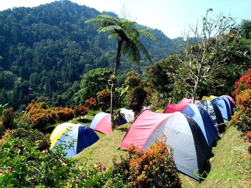 eagle hill camping ground