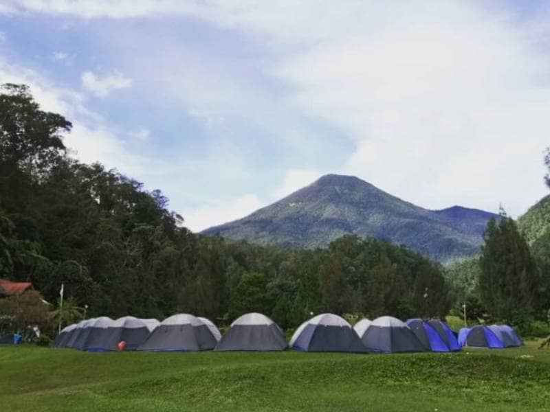 mandalawangi cibodas