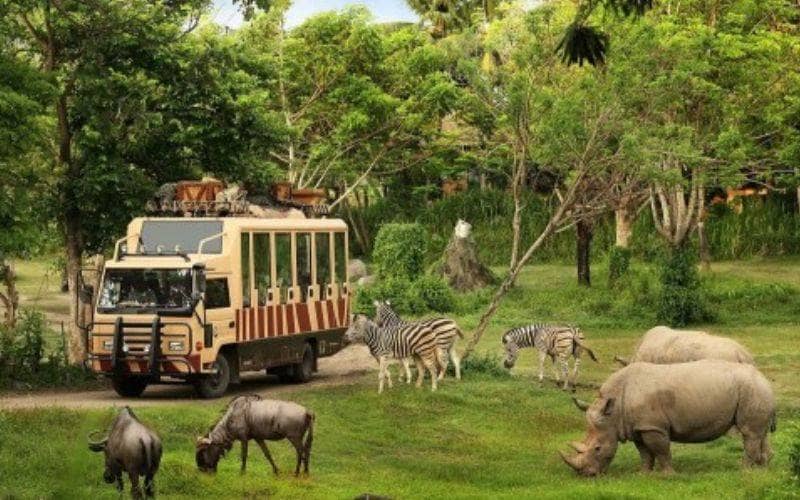 Taman Safari Bogor