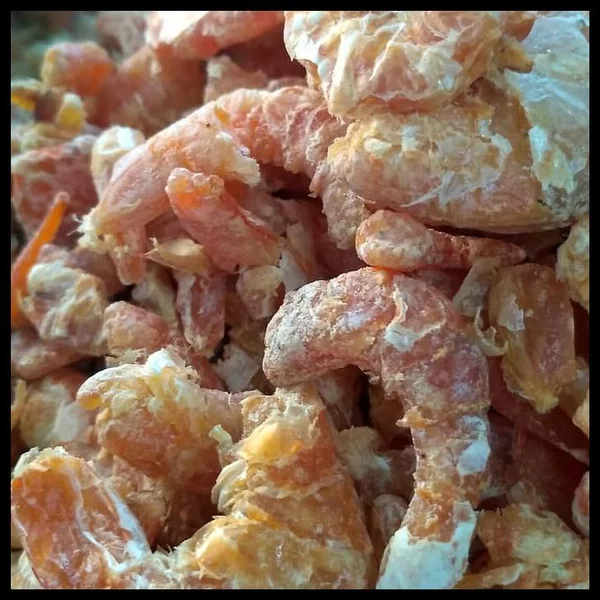 ebi udang kering