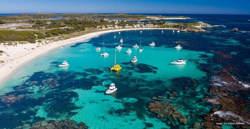 rottnest island pulau terindah di australia