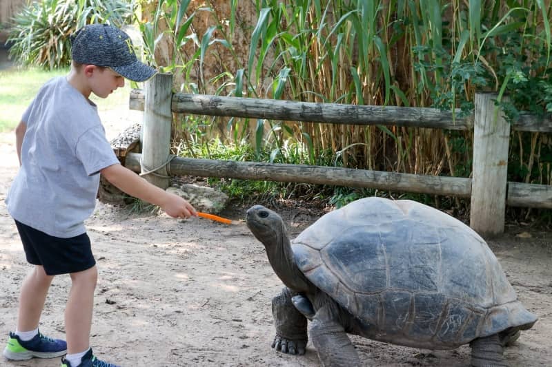 sedgwick county zoo