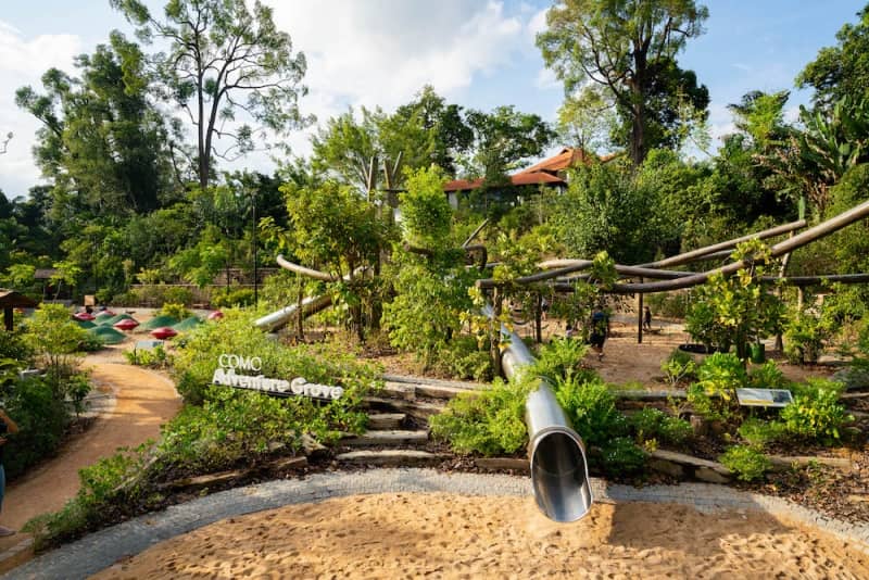 singapore botanic gardens
