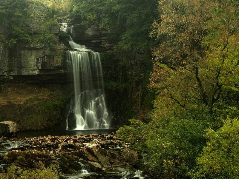 thornton force