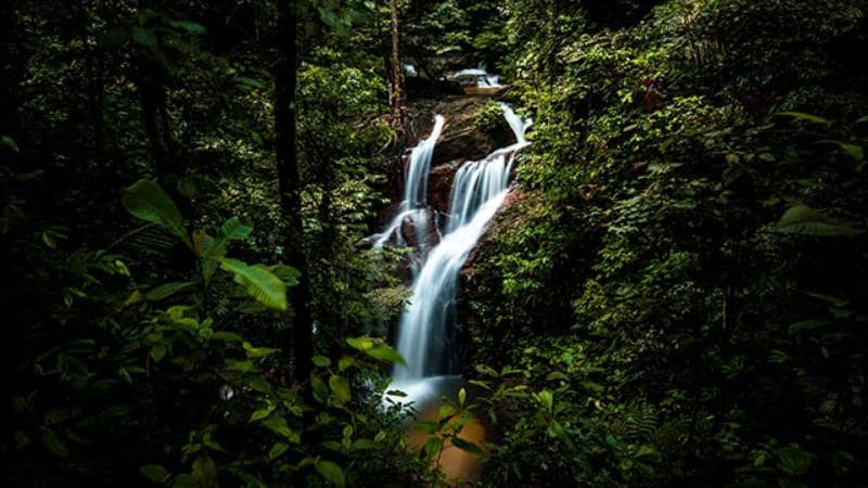 air terjun pisang