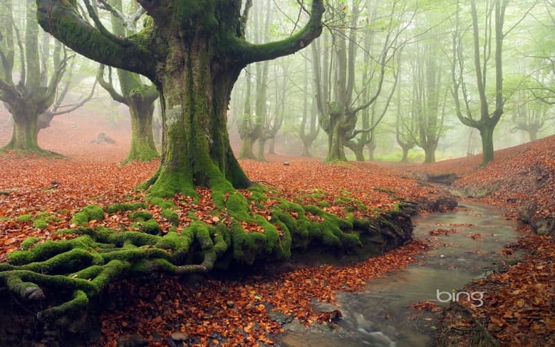 gorbea natural park