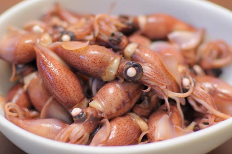 firefly squid kuliner khas toyama