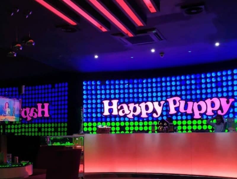 happy puppy tempat karaoke di jakarta