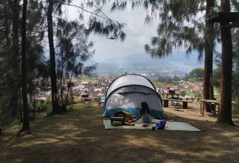 camping ground pinus cunthel