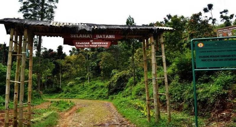 taman buru gunung masigit kareumbi