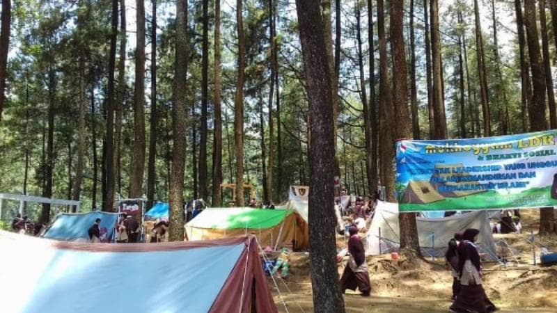 wana wisata hutan pinus nglimut