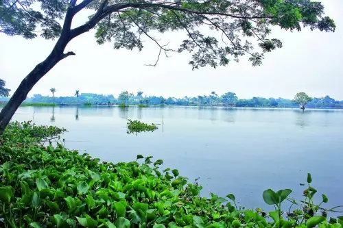 danau situ cipondoh