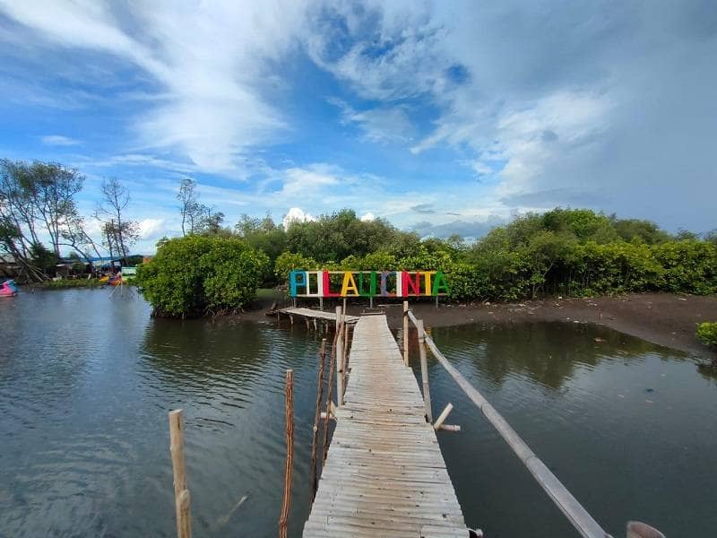 hutan mangrove teluk naga