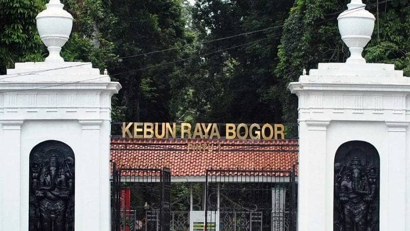 kebun raya bogor