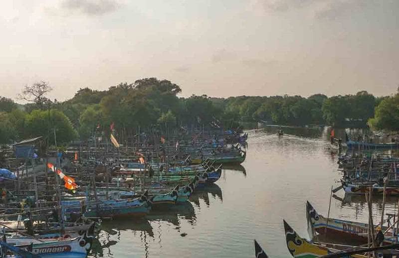 pantai gisik cemandi