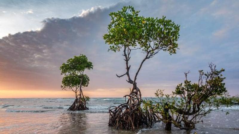 pantai sonto laut