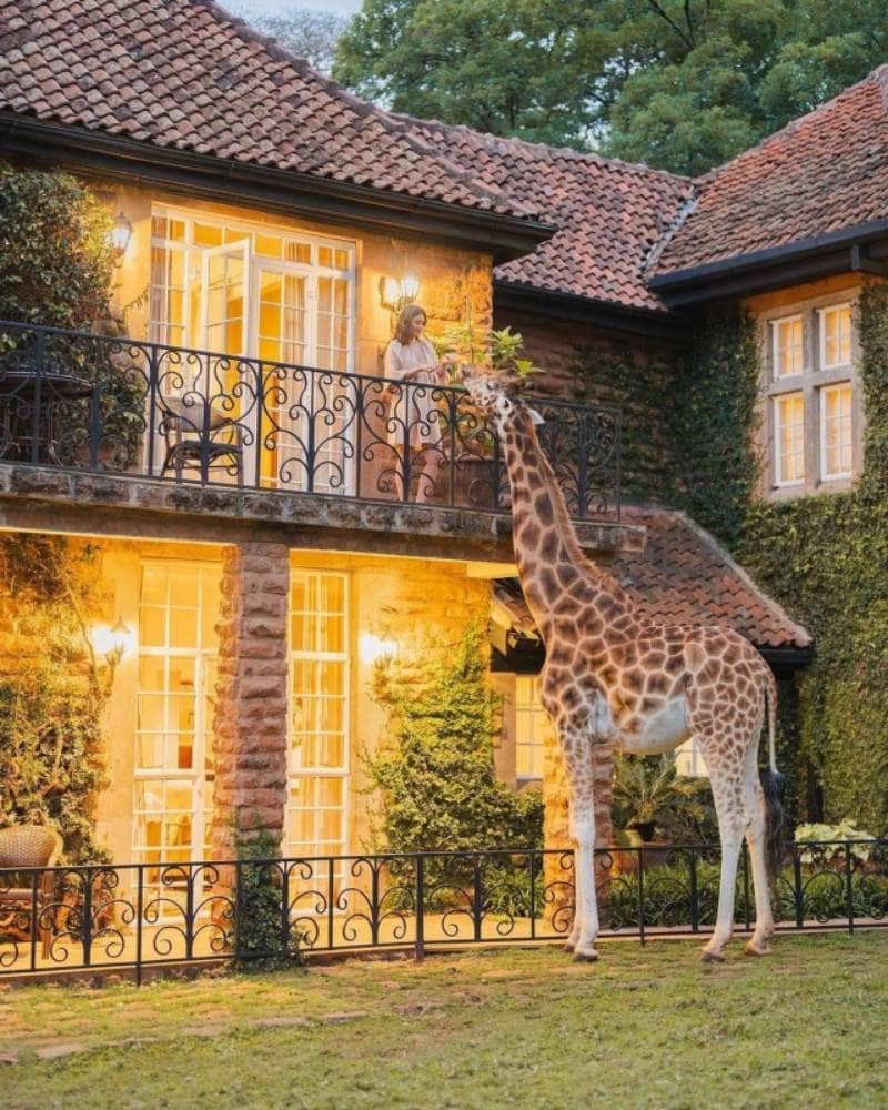 giraffe manor hotel 