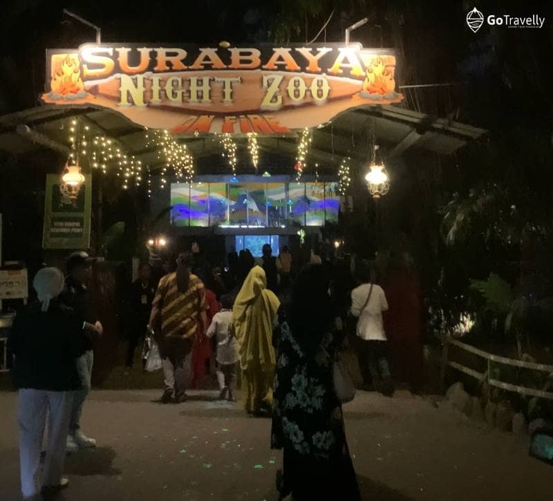 surabaya night zoo snz
