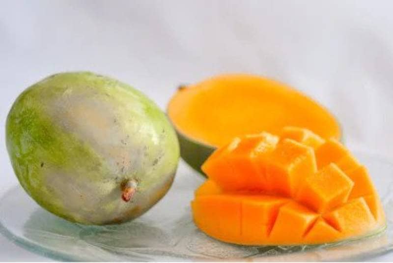 buah mangga