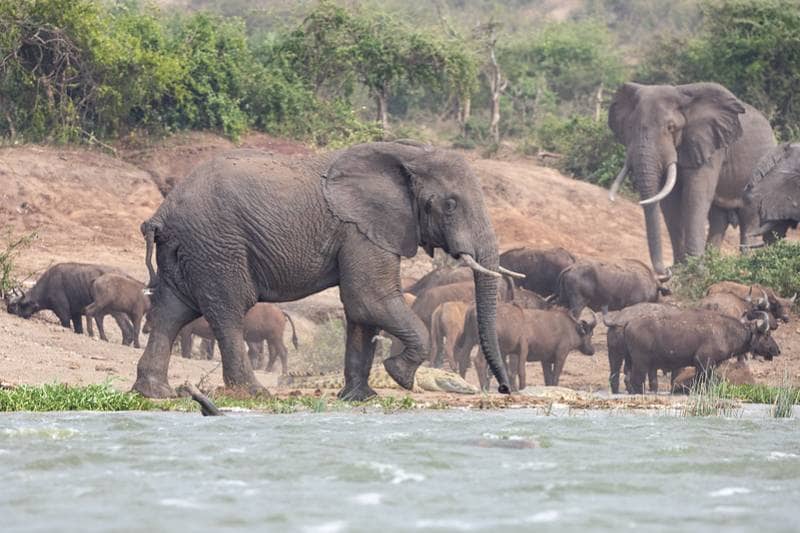 danau edward terbesar di afrika