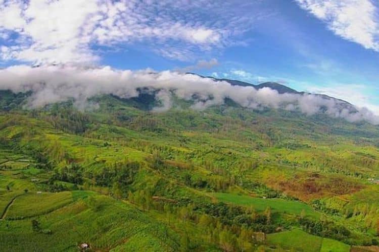 gunung leuser