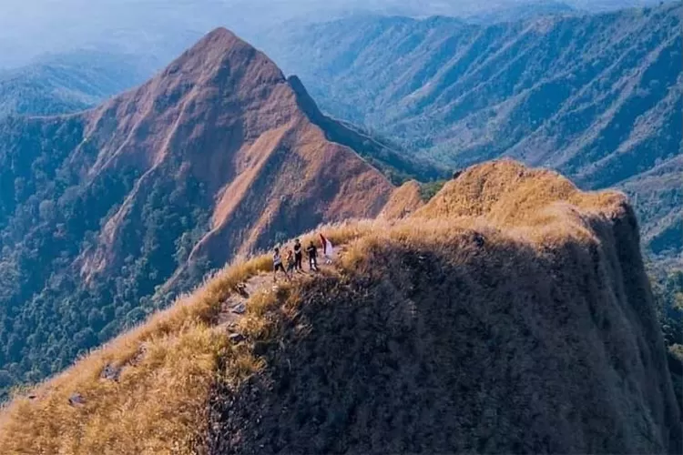 gunung suket